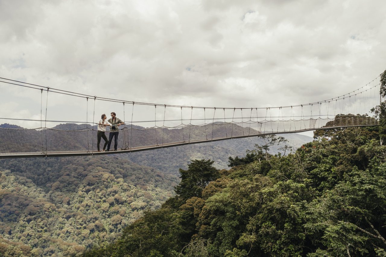 Discover Nyungwe National Park 